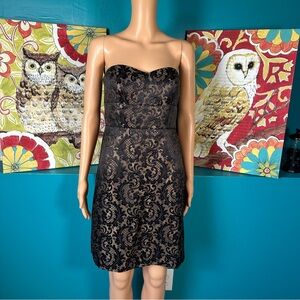 Ann Taylor Loft Dress Black Lace Strapless 4P